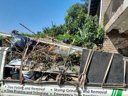 Reliable Griswold, IA Junk Removal  Solutions